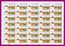 2004 ���� ����������